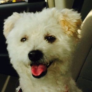 Meet your Posher, Sonia